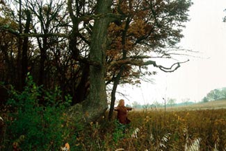 Trail Tree Photo Property of Downes Studio