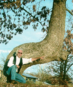 Trail Tree Photo Property of Downes Studio