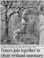 Dennis Downes News Articles