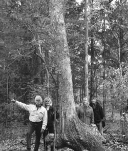 indian trail marker tree