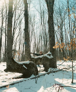 Trail Tree Photo Property of Downes Studio