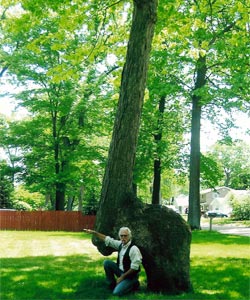 Trail Tree Photo Property of Downes Studio