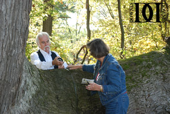 Huge Trail Marker Tree from Great Lakes Region